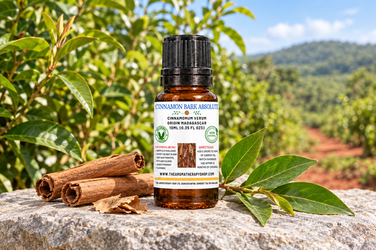 Cinnamon Bark Absolute showcase with your approved 10 ml amber bottle, true cinnamon bark and leaves on pale-grey volcanic stone in a Madagascan garden