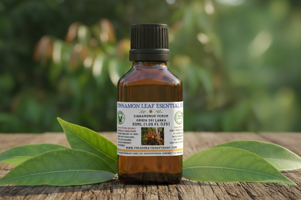 Cinnamon Leaf 30ml Essential Oil - Corrected Label Height