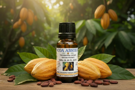 Cocoa Absolute 10ml v3