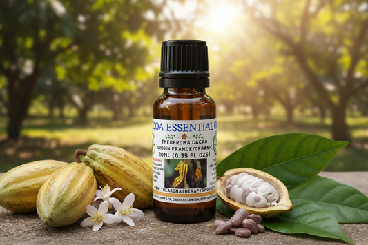 Cocoa Essential Oil – Outdoor Showcase