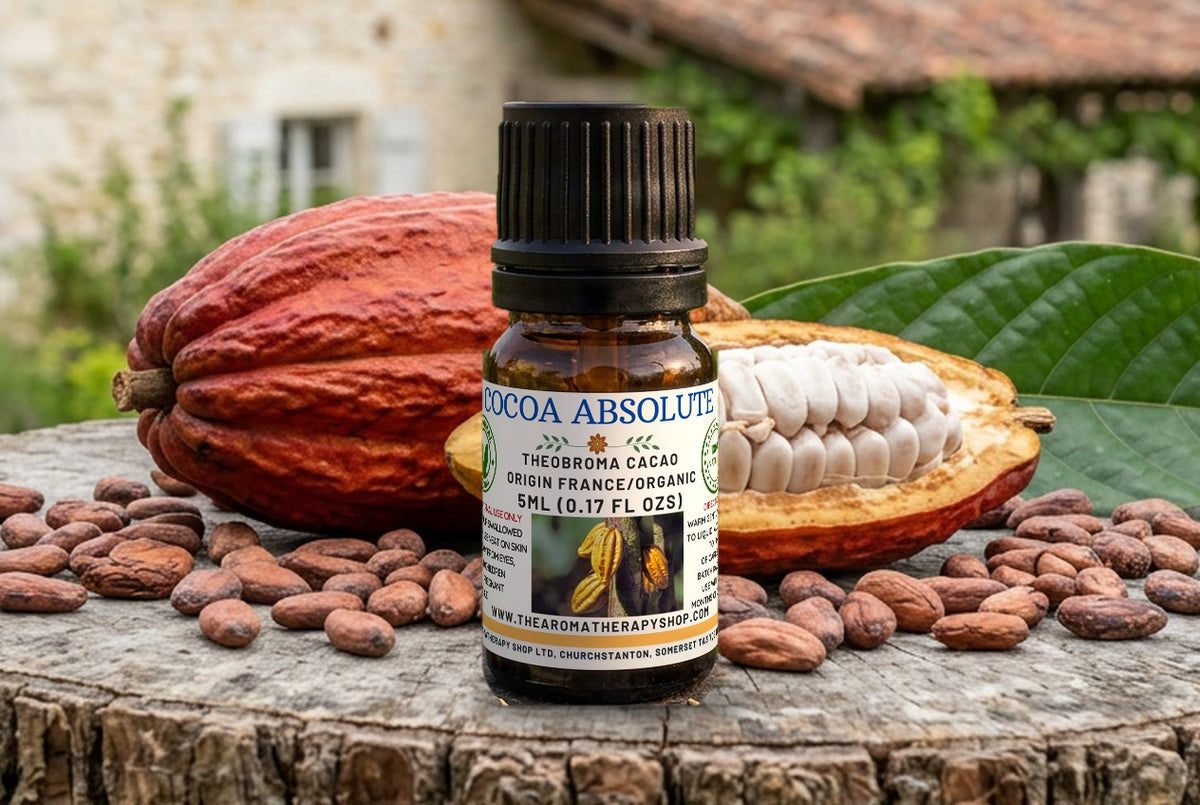 Cocoa Absolute  / Origin France