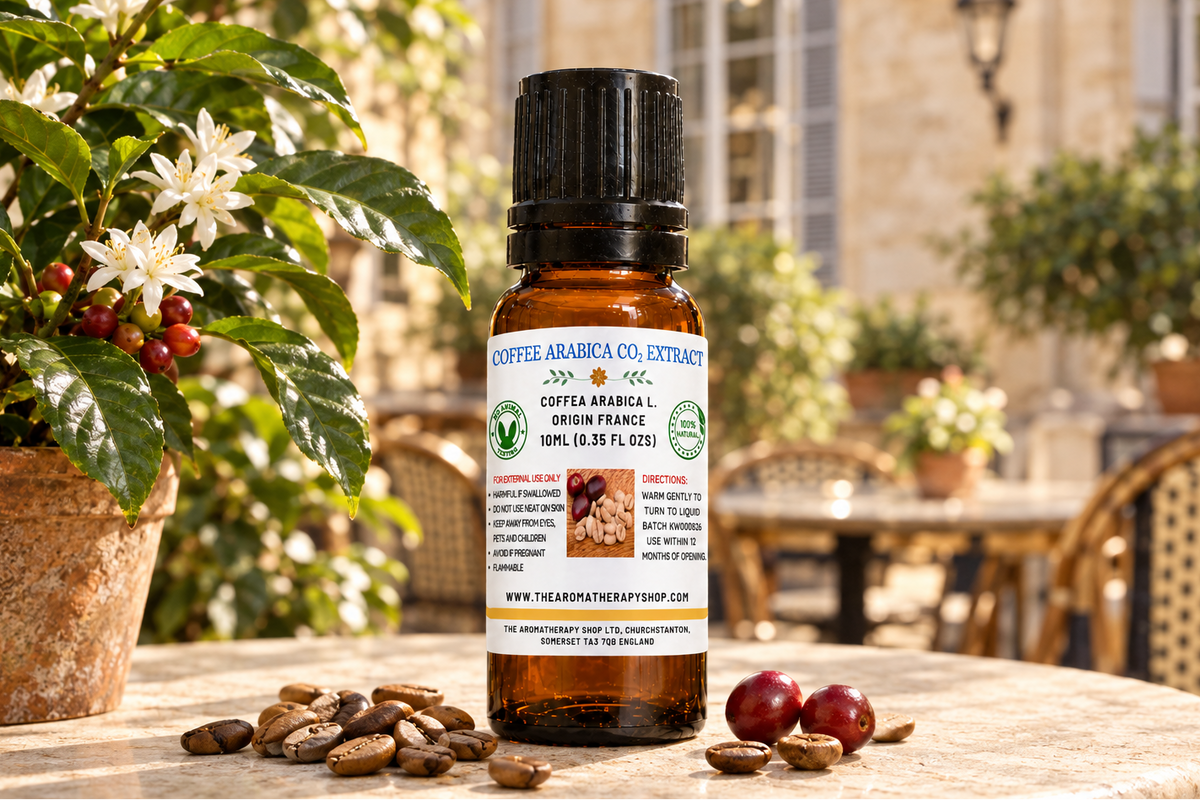Coffee Arabica CO₂ Extract 10ml French café showcase