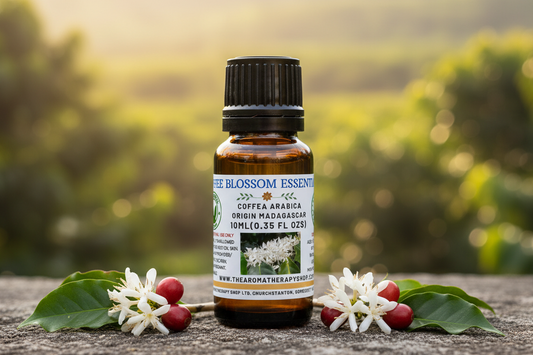 Coffee Blossom Essential Oil – Wider Bottle