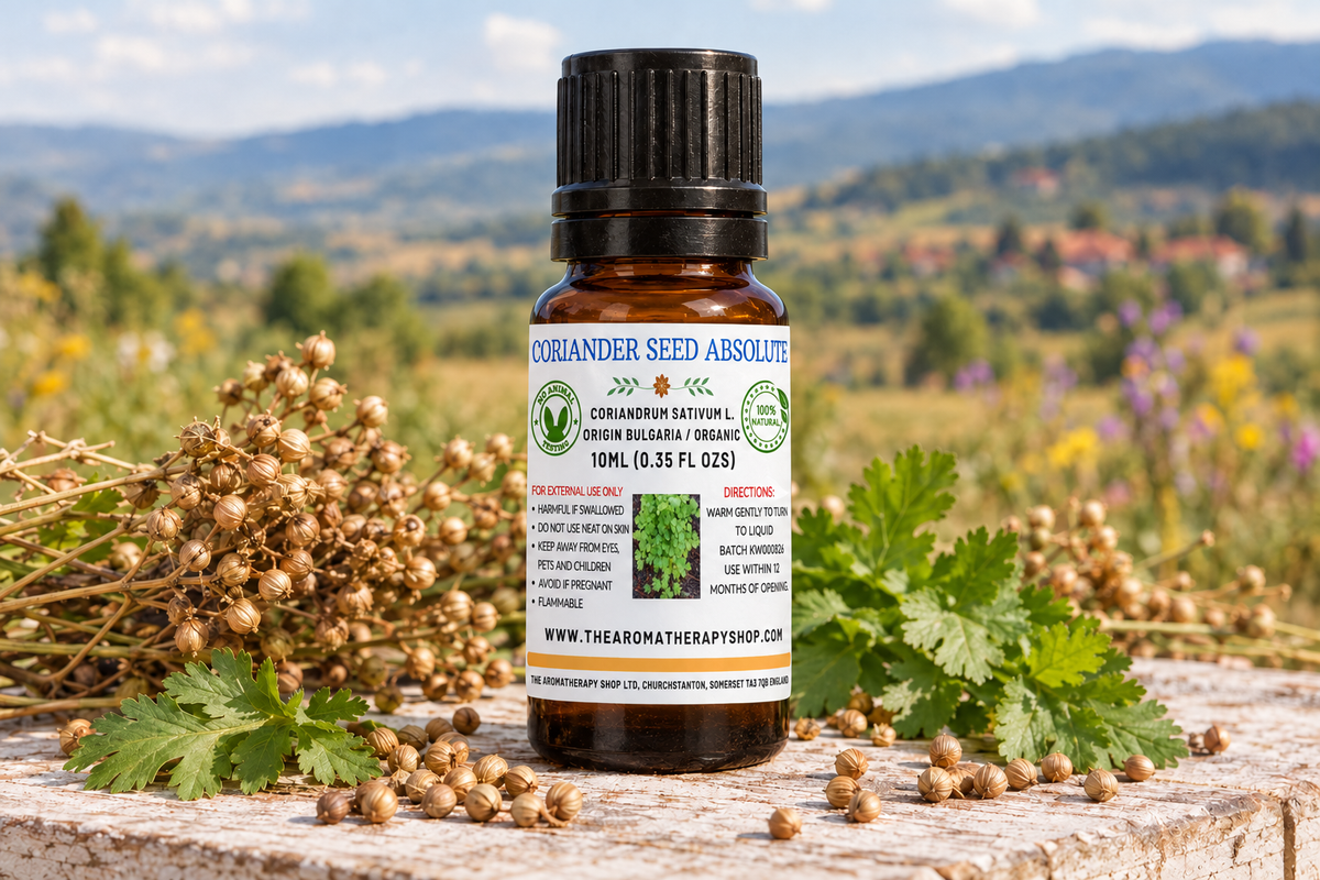 Coriander Seed Absolute 10ml showcase, taller label