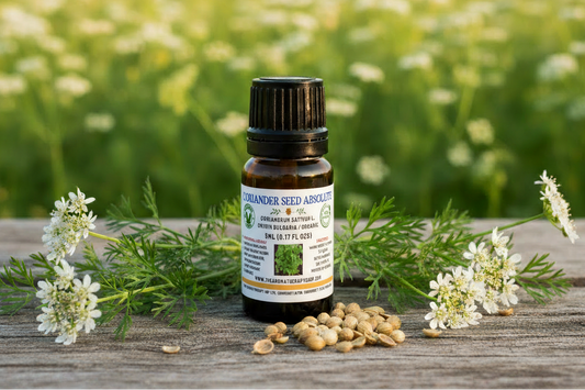 Coriander Seed Absolute 5ml – Label Detail