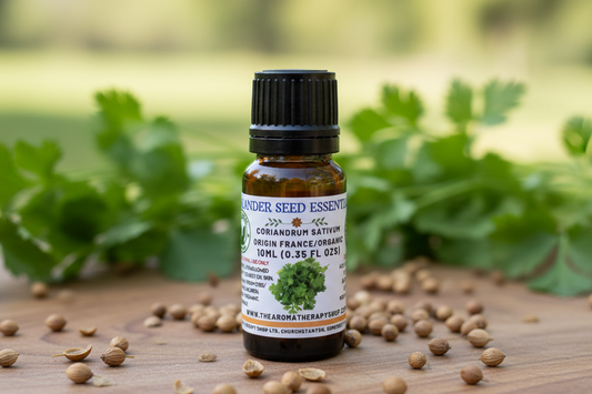 Coriander Seed Essential Oil outdoor product photography