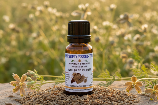 Cumin Seed Essential Oil