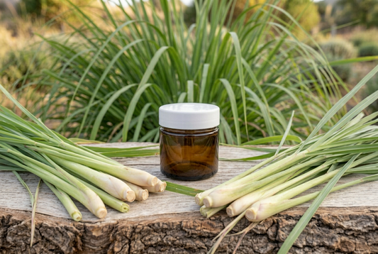 Cymbopogon citratus showcase with the approved small jar and lemongrass on a fresh organic surface