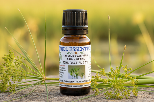 Cypriol Essential Oil 10ml Outdoor Showcase