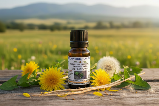 Dandelion Root CO2 Extract 5ml - Smaller Roots