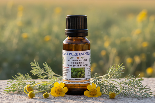 Davana Pure Essential Oil