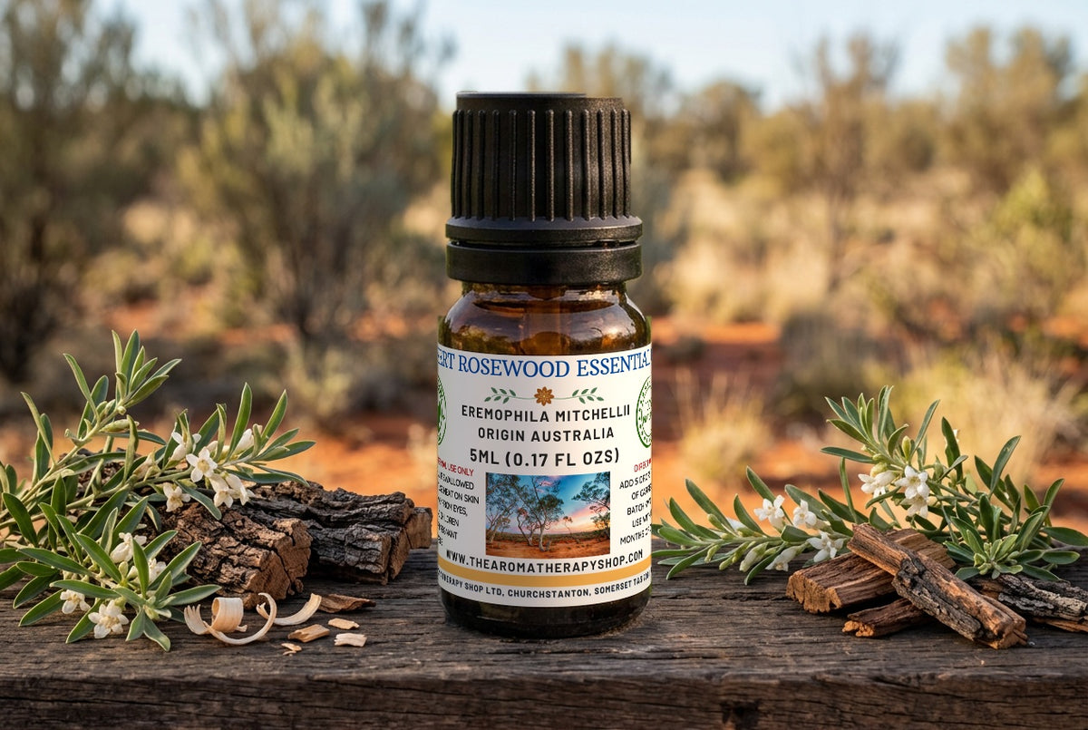 Australian Desert Rosewood Essential Oil / Rare