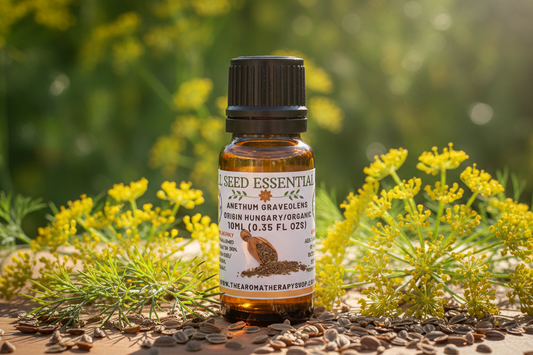Dill Seed Essential Oil outdoor showcase