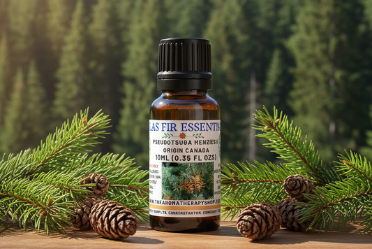 Douglas Fir Essential Oil outdoor showcase