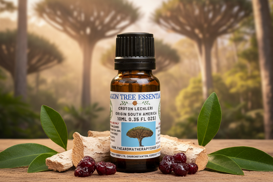 Dragon Tree Essential Oil 10ml Outdoor Showcase