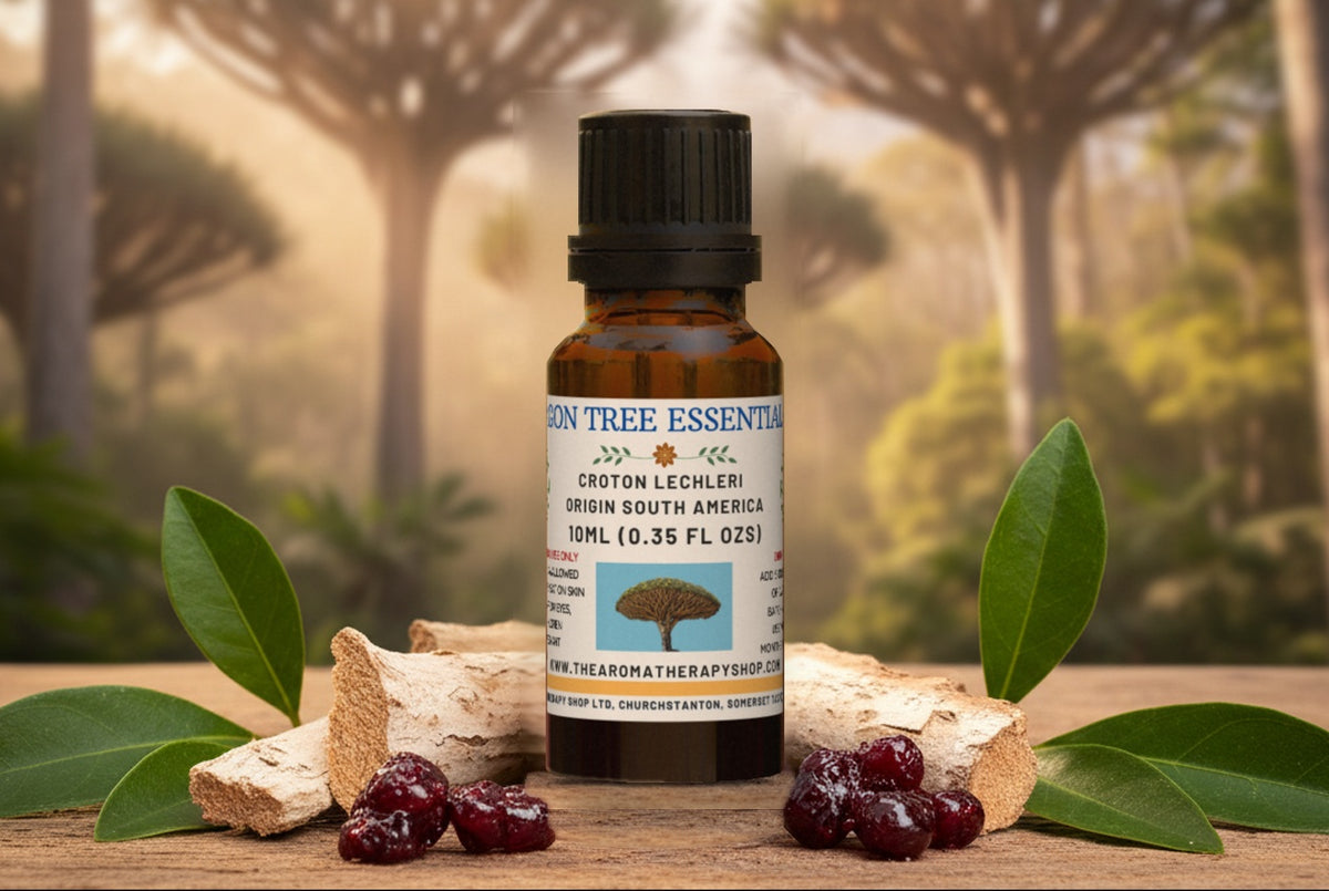 Dragon Tree  Essential Oil / Deep, Sweet and Musky