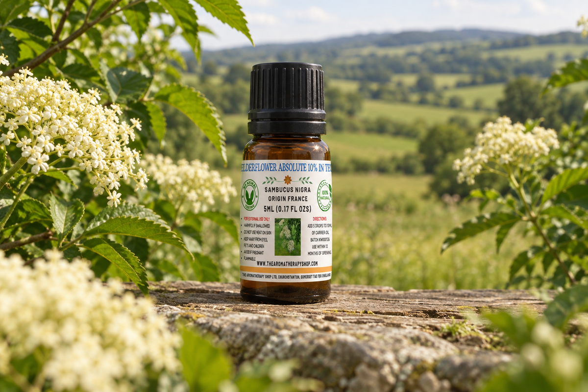 Elderflower Absolute 5ml French outdoor showcase