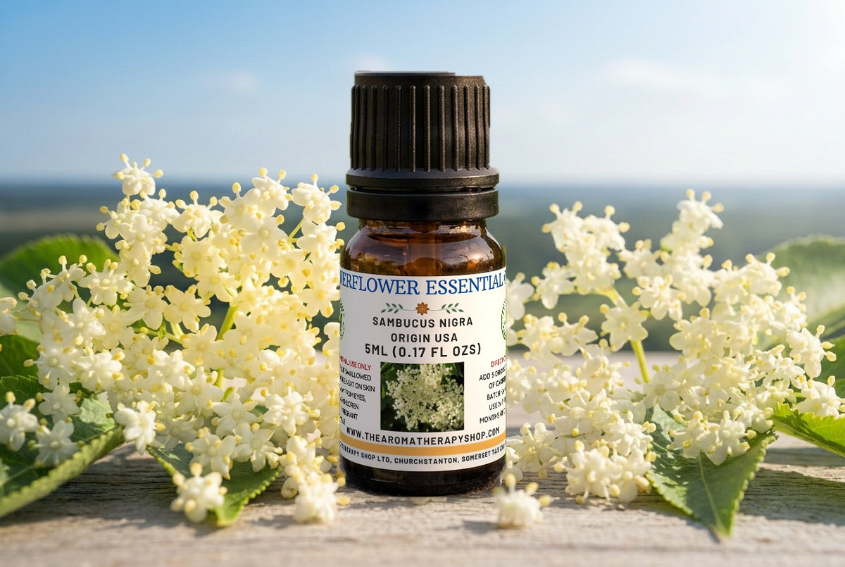 Elderflower Essential Oil