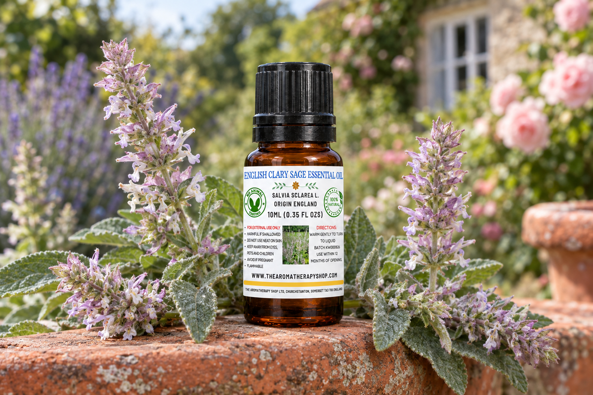 English Clary Sage Essential Oil 10ml English garden outdoor showcase