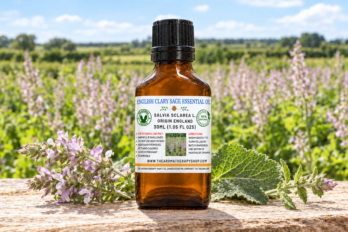 English Clary Sage showcase with your label, fresh sprigs on weathered ash wood and a Norfolk countryside background