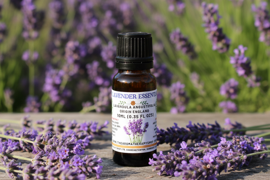English Lavender Essential Oil showcase image