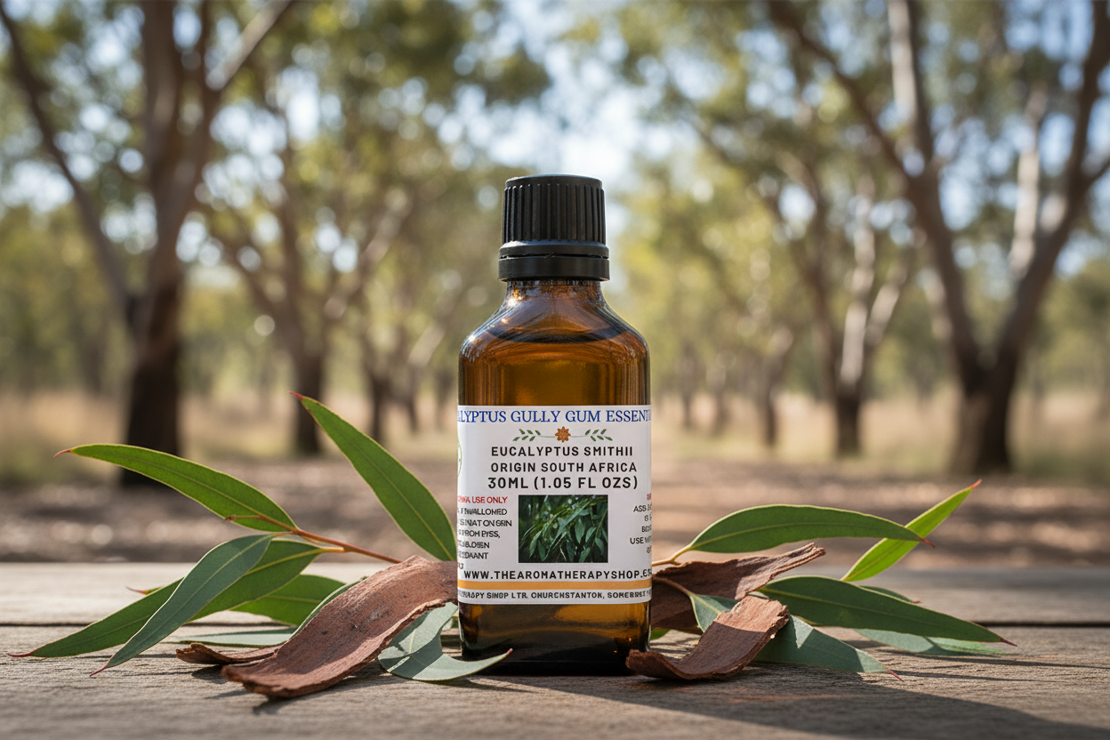 Eucalyptus Gully Gum Essential Oil 30ml Natural Outdoor Showcase