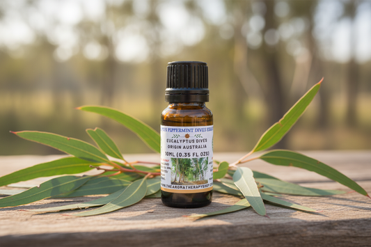 Eucalyptus Peppermint Dives Essential Oil showcase image - label upper third