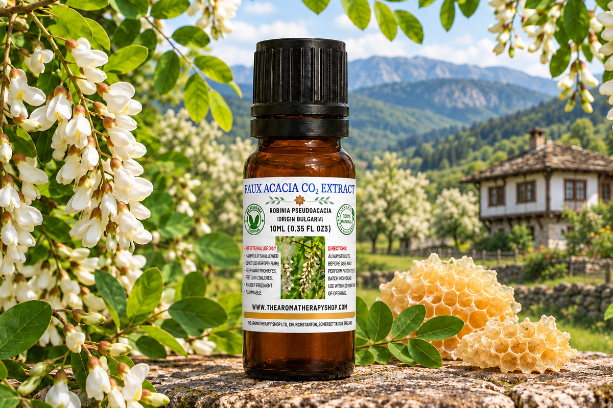 Faux Acacia with Bulgarian countryside background