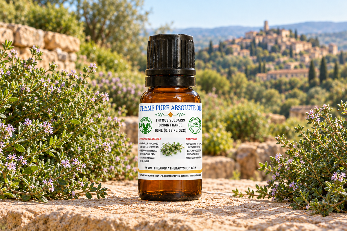 Final Thyme Pure Absolute Oil 10ml showcase