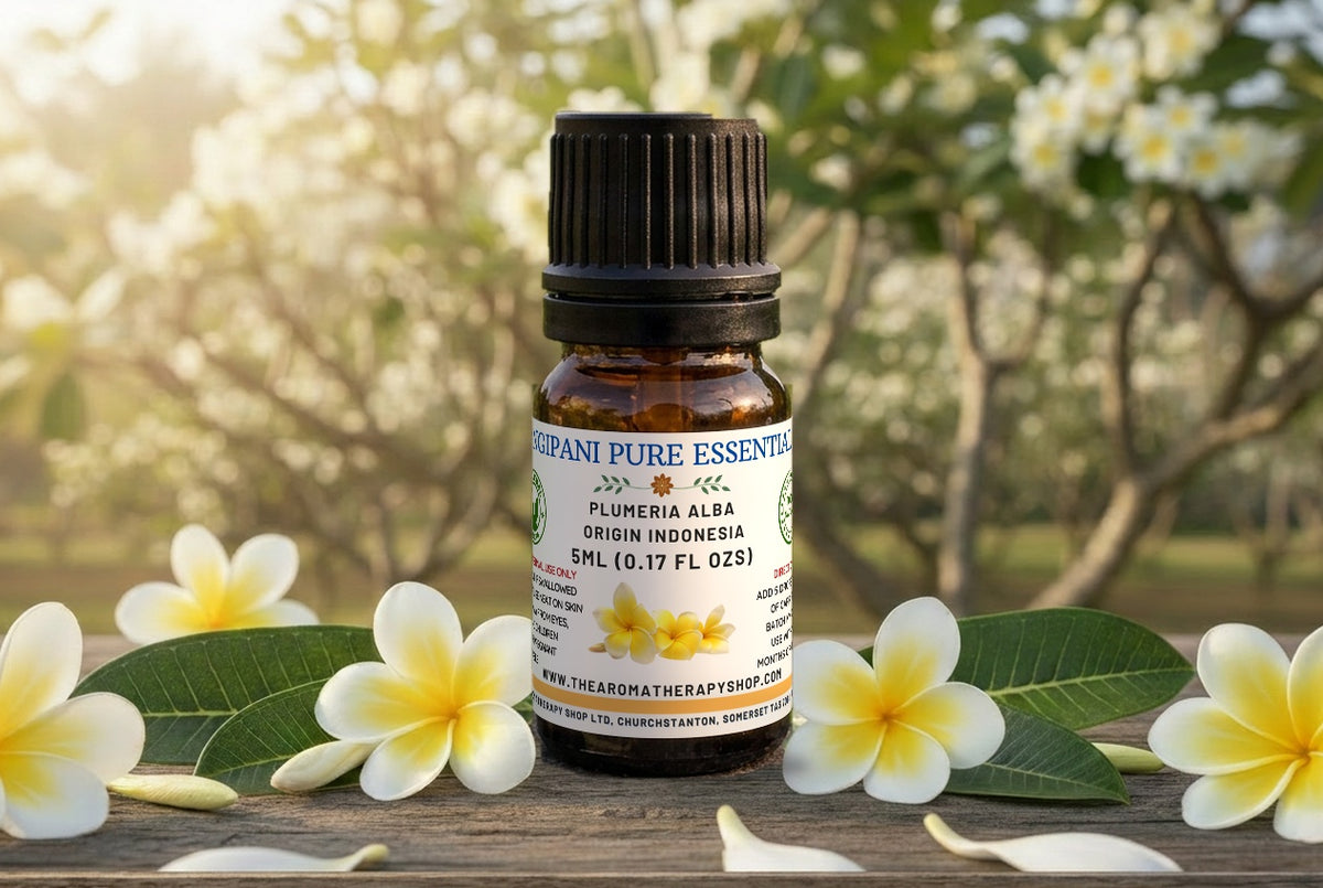 Indonesian Frangipani Essential  Oil / Hard to find