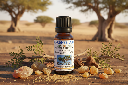 Frankincense Absolute 10ml Outdoor Showcase