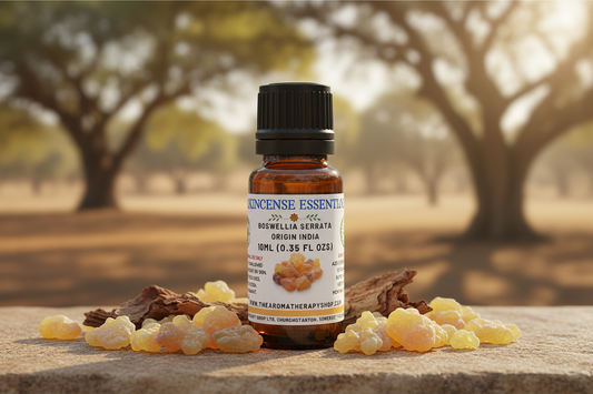 Frankincense Indian Essential Oil