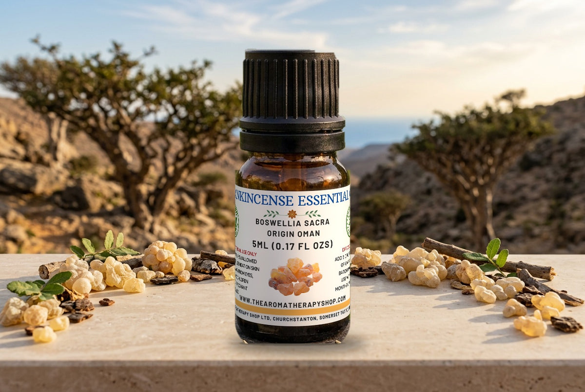 Frankincense Sacra Essential Oil (Sacred Oil)