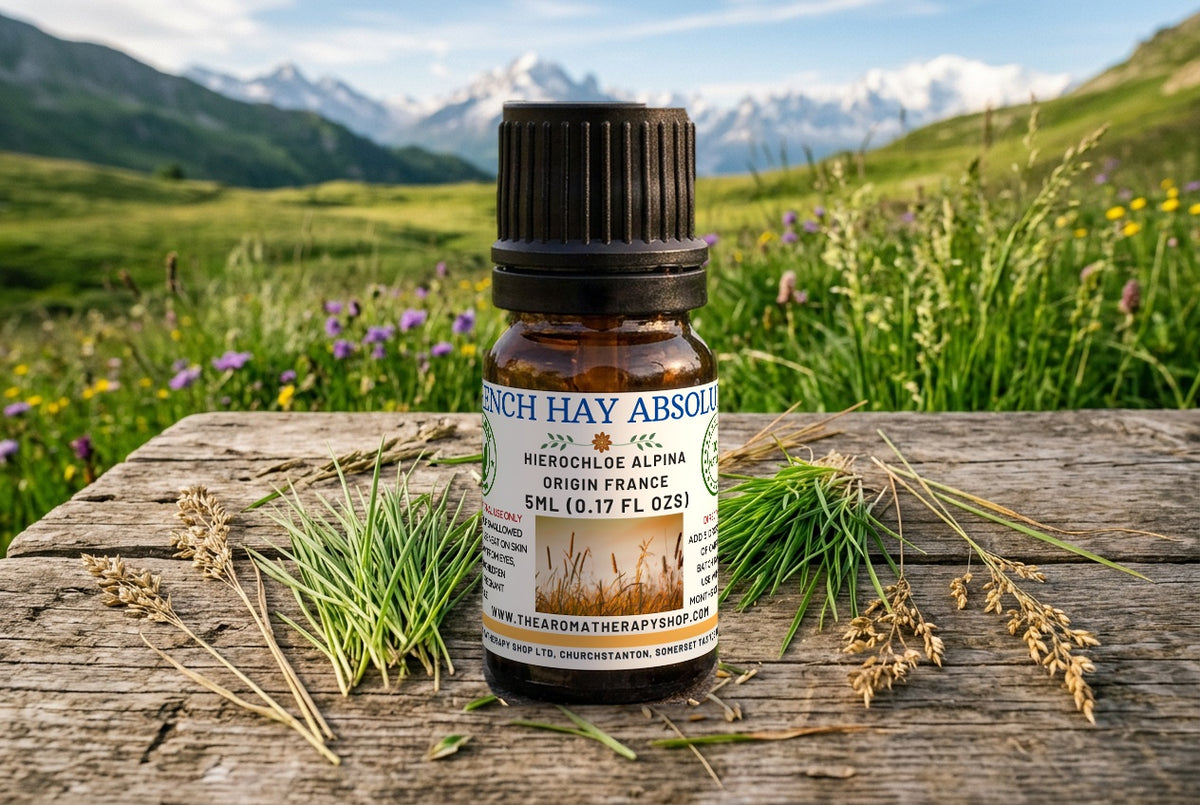French Hay Absolute - Hierochloe Alpina | Artisan Perfumery Grade