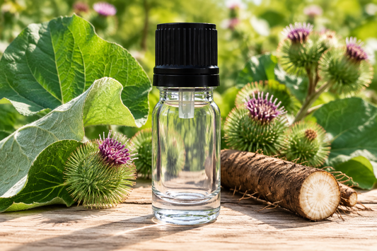 Fresh burdock showcase rebuilt from the original clear bottle photo