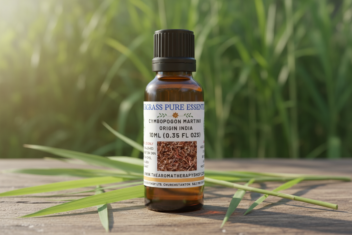 Gingergrass Pure Essential Oil – The Aromatherapy Shop Ltd