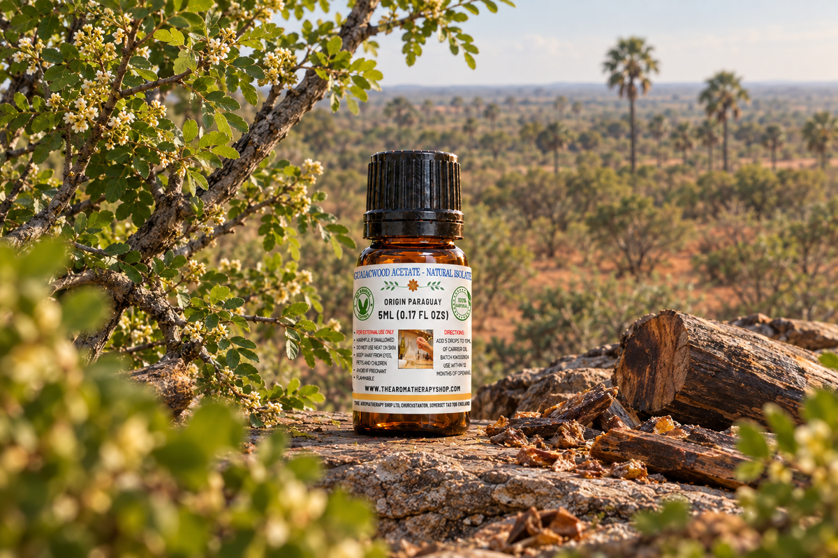 Guaiacwood Acetate 5ml Paraguayan outdoor showcase