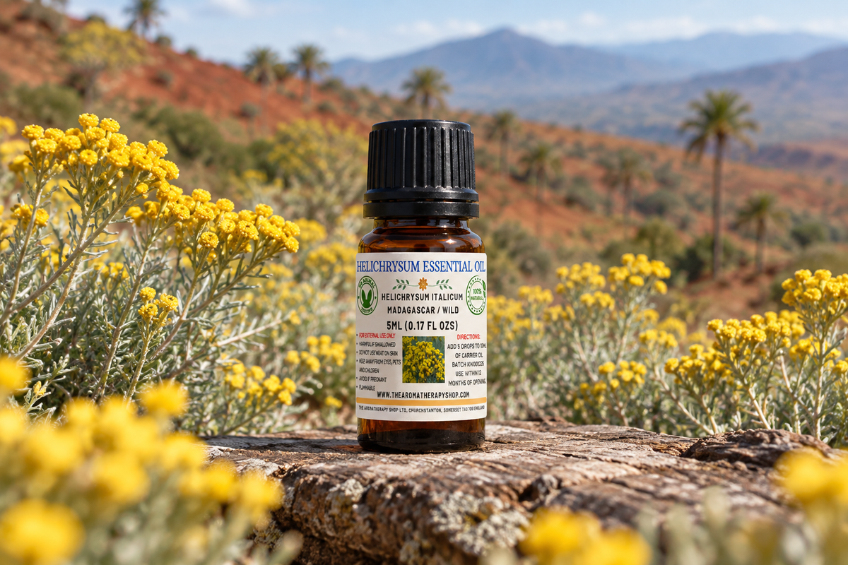 Helichrysum Essential Oil 5ml showcase, narrower body under the cap