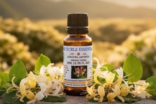 Honeysuckle Essential Oil China