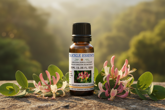 Honeysuckle Essential Oil