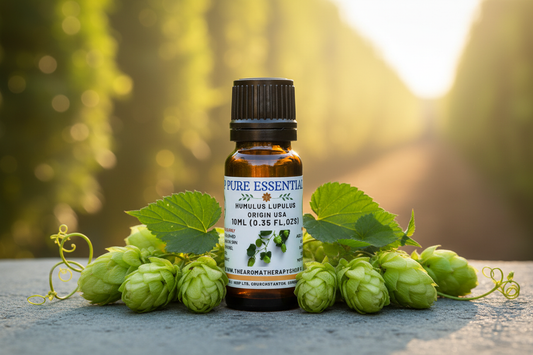 Hop Pure Essential Oil