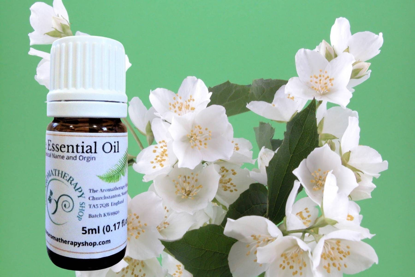 Egyptian Jasmine Pure Essential Oil