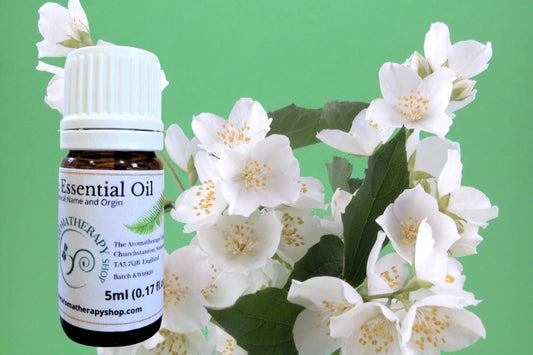 Egyptian Jasmine Pure Essential Oil