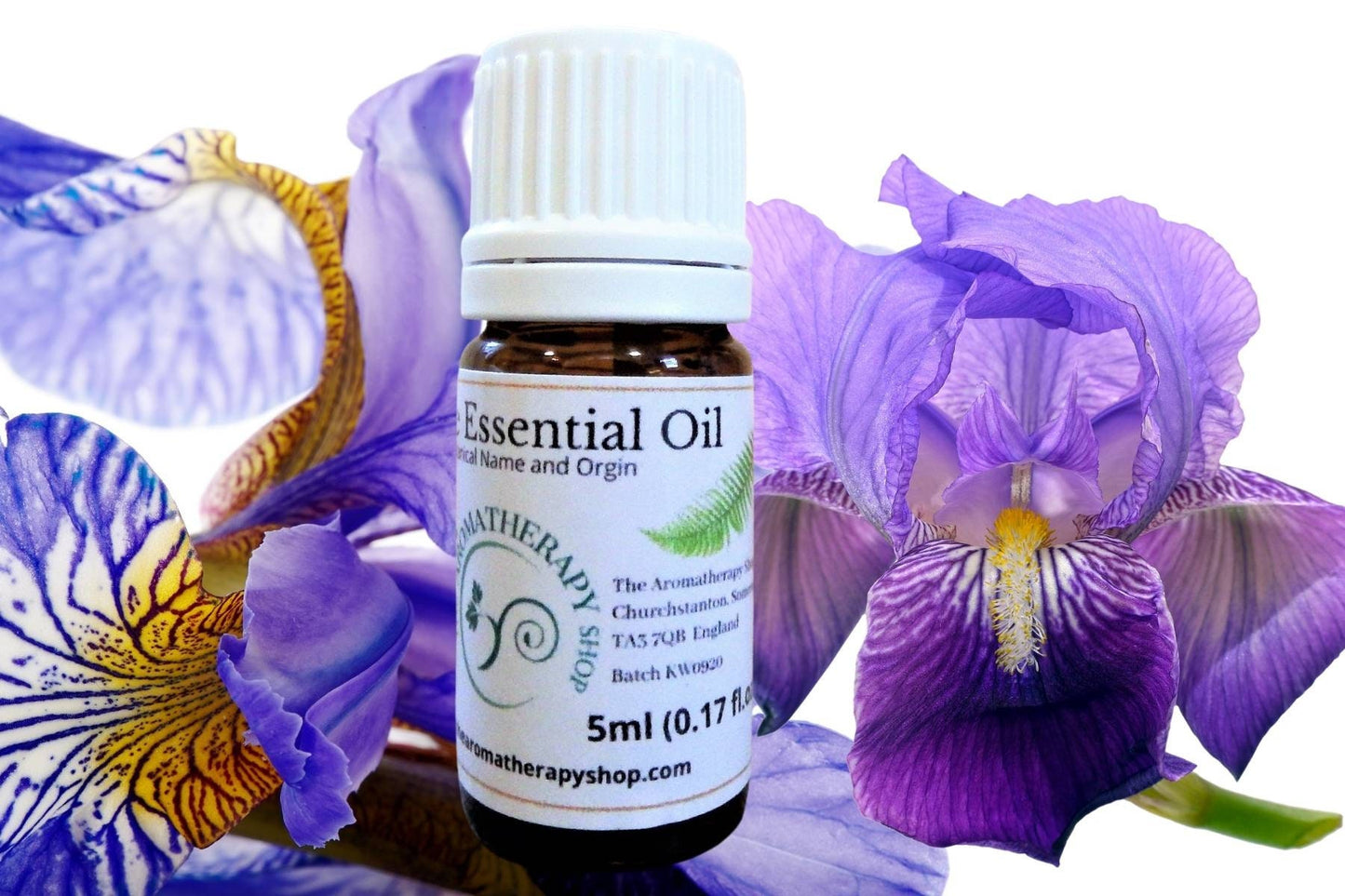 Egyptian Iris Essential Oil