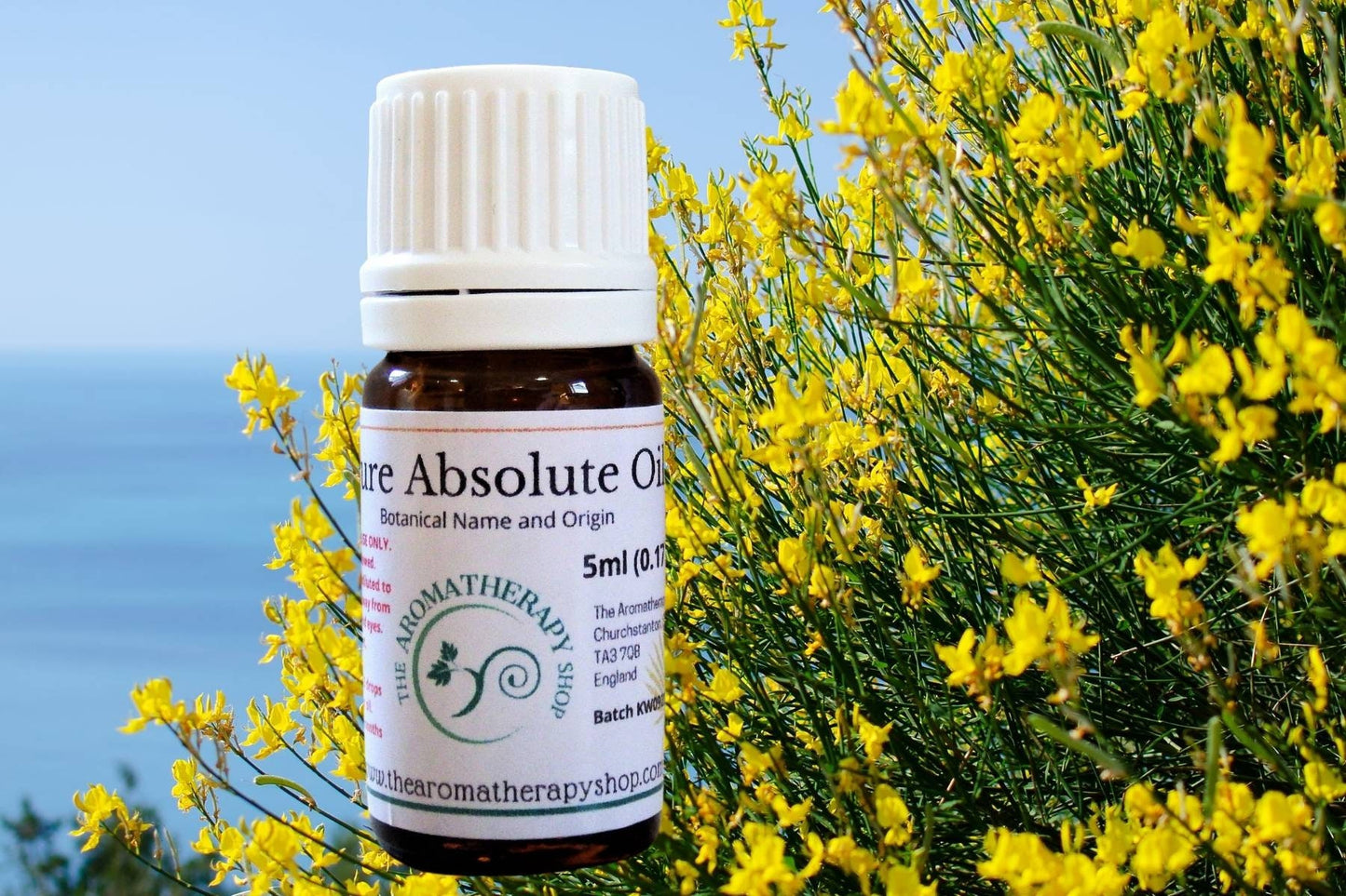 Broom / Genet Absolute Oil (Origin Italy)