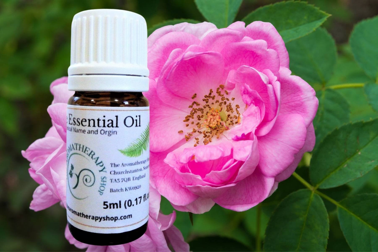 Persian Rose Otto Pure Essential Oil