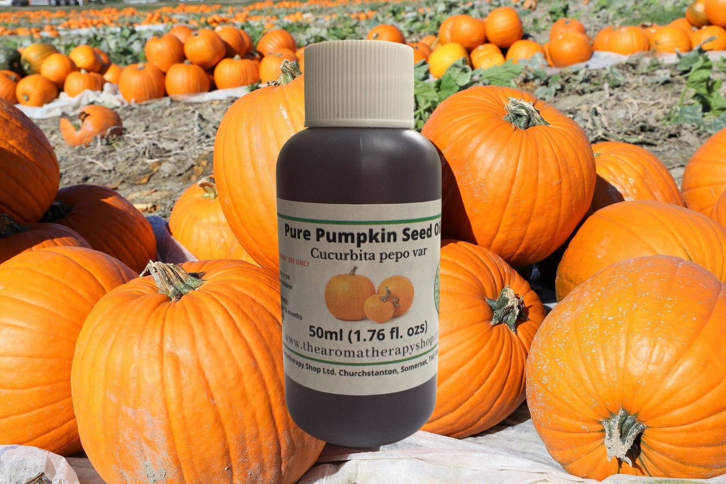Pumpkin Seed Oil