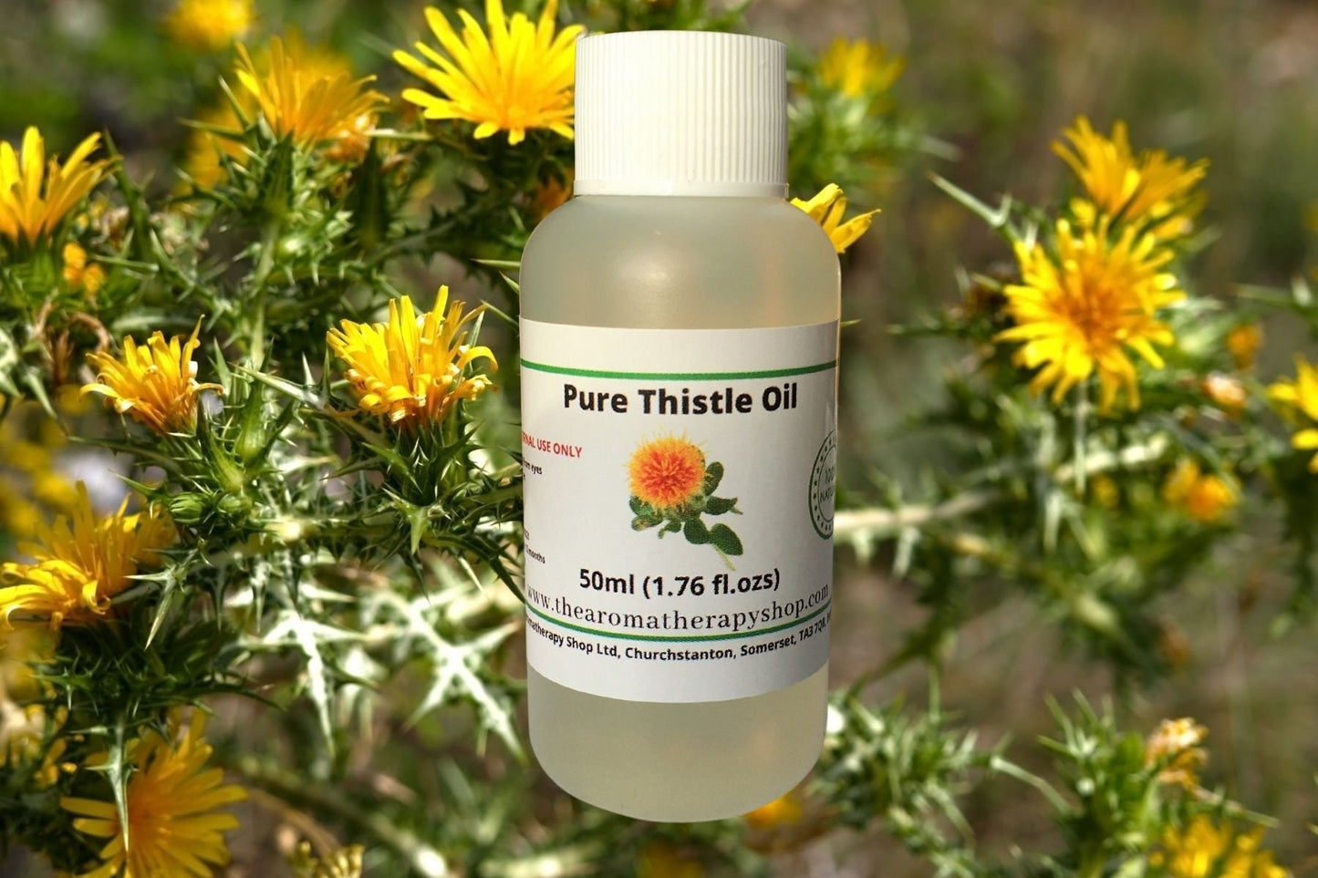 Thistle Oil