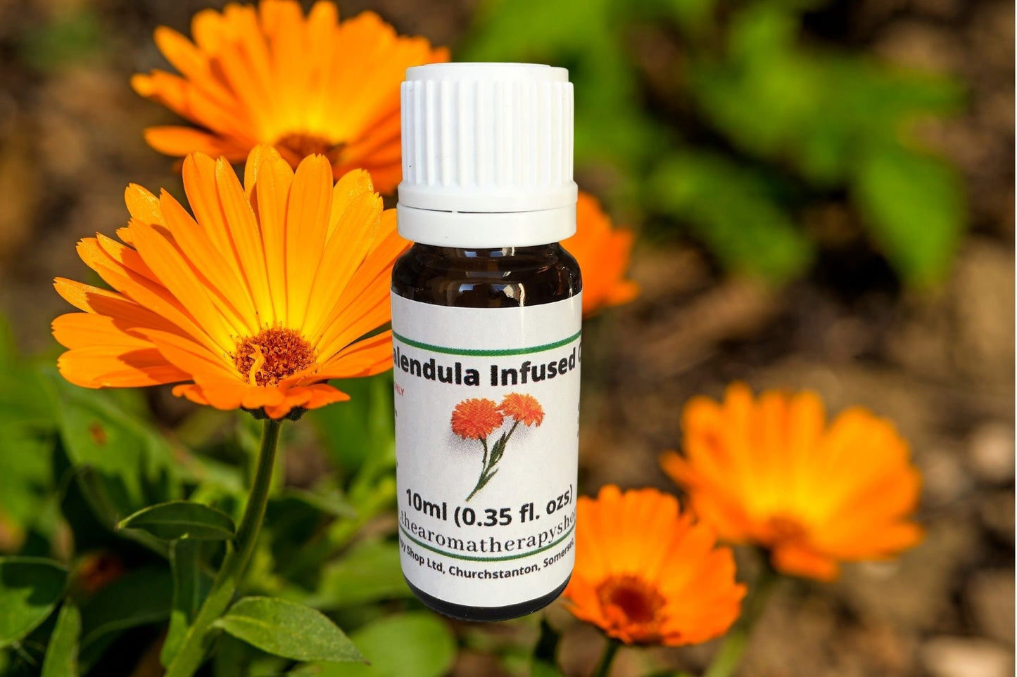 Calendula Carrier Oil Infusion