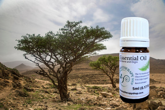 Frankincense Frereana Essential Oil / Organic (Origin: Somalia)